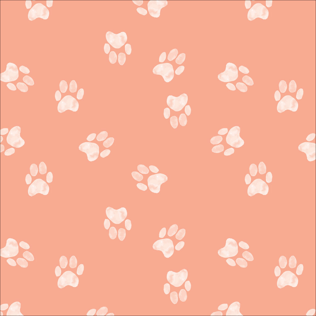 Little Lion - Lion paws in Peach by Atelier Danielle