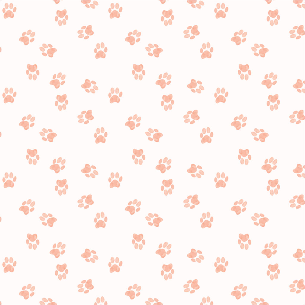 Little Lion - Lion paws in Seashell by Atelier Danielle