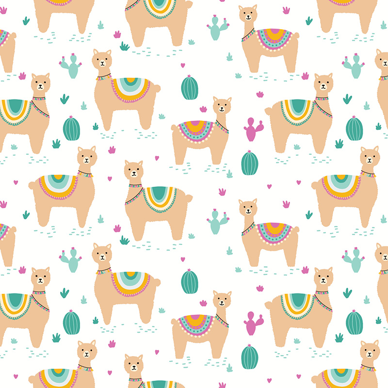 Llama in white